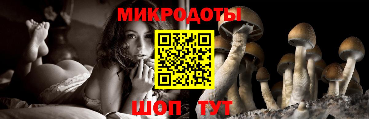 Галлюциногенные грибы Magic Shrooms Стрежевой